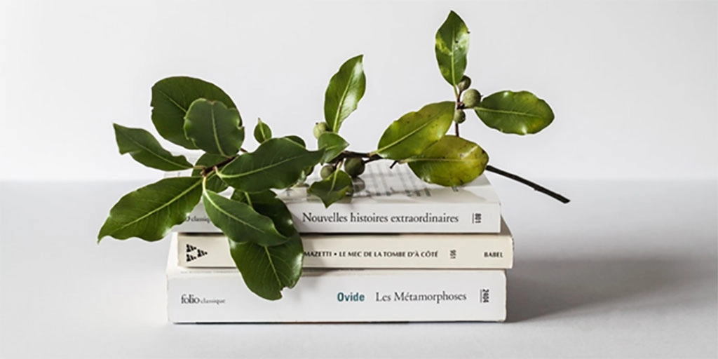 decorative fake twig with leaves sitting on top of books