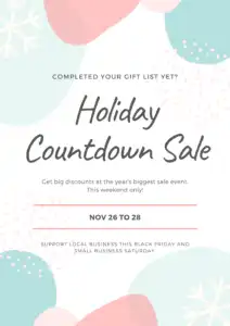 Teal and pink winter imagery surrounds gray text on a white background. Gray text says Holiday Countdown Sale